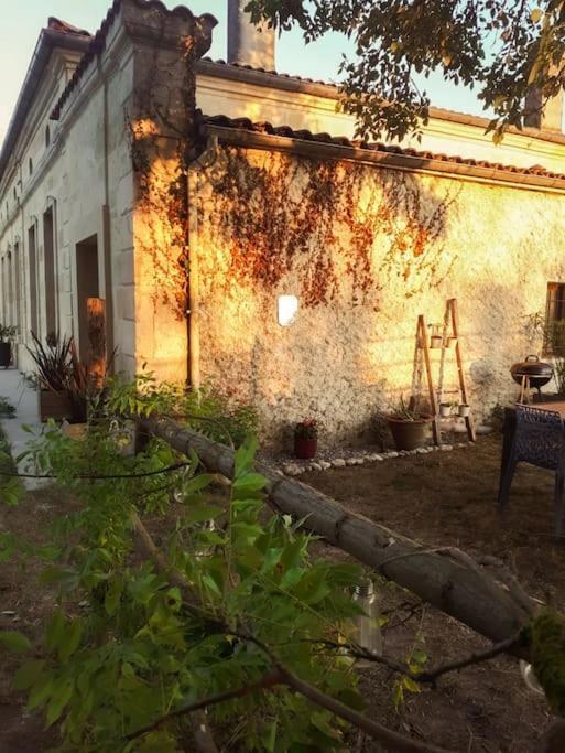 Gite A La Ferme Chaleureux Civrac-de-Blaye Exterior foto
